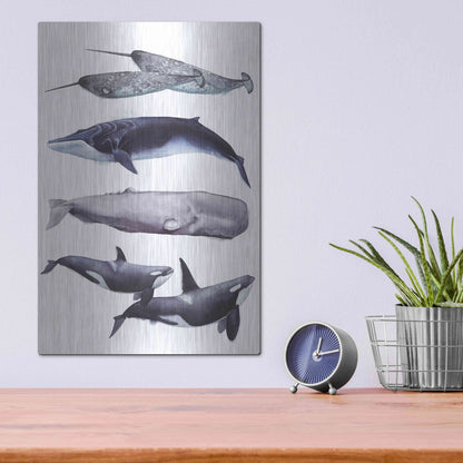 Luxe Metal Art 'Whale Stack II' by Grace Popp, Metal Wall Art,12x16