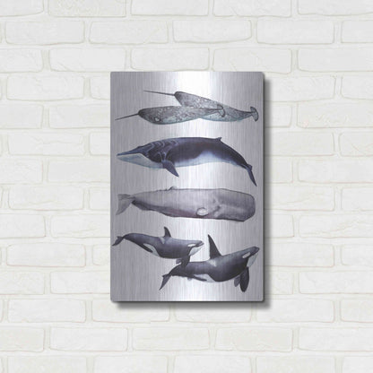 Luxe Metal Art 'Whale Stack II' by Grace Popp, Metal Wall Art,16x24