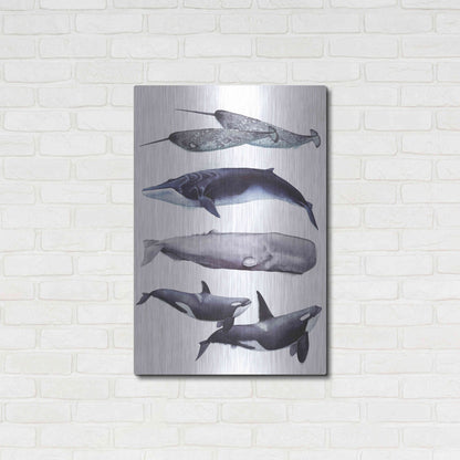 Luxe Metal Art 'Whale Stack II' by Grace Popp, Metal Wall Art,24x36