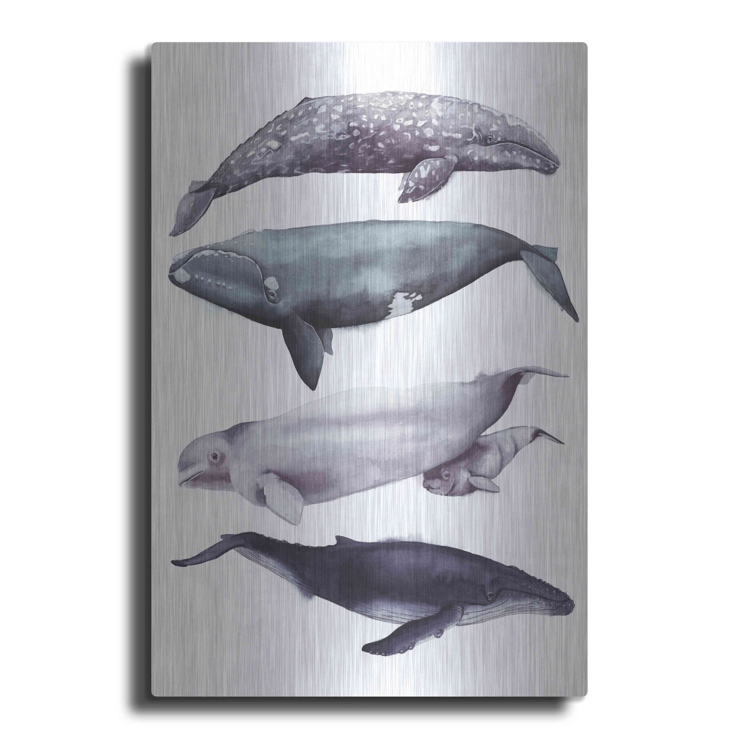 Luxe Metal Art 'Whale Stack I' by Grace Popp, Metal Wall Art