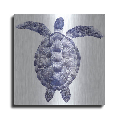 Luxe Metal Art 'Marine Turtle I' by Grace Popp, Metal Wall Art