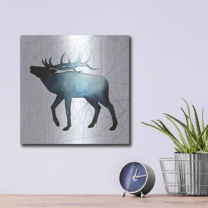 Luxe Metal Art 'Animal Silhouettes VI' by Grace Popp, Metal Wall Art,12x12