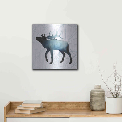 Luxe Metal Art 'Animal Silhouettes VI' by Grace Popp, Metal Wall Art,12x12