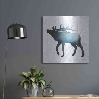 Luxe Metal Art 'Animal Silhouettes VI' by Grace Popp, Metal Wall Art,24x24