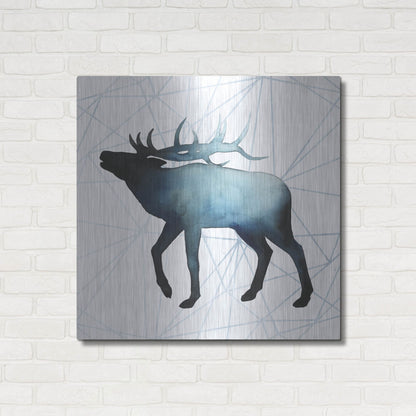 Luxe Metal Art 'Animal Silhouettes VI' by Grace Popp, Metal Wall Art,36x36