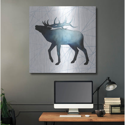 Luxe Metal Art 'Animal Silhouettes VI' by Grace Popp, Metal Wall Art,36x36