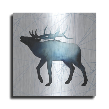 Luxe Metal Art 'Animal Silhouettes VI' by Grace Popp, Metal Wall Art