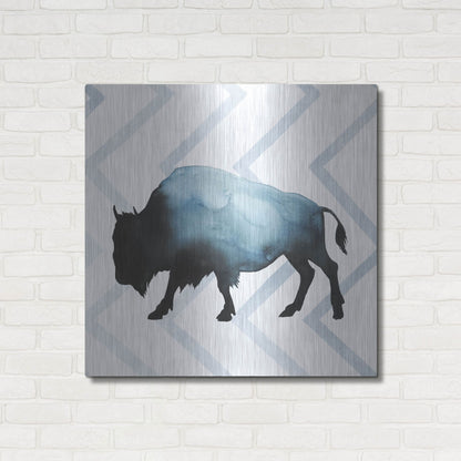 Luxe Metal Art 'Animal Silhouettes IV' by Grace Popp, Metal Wall Art,36x36