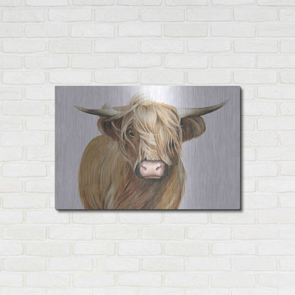 Luxe Metal Art 'Highland Cattle I' by Grace Popp, Metal Wall Art,36x24