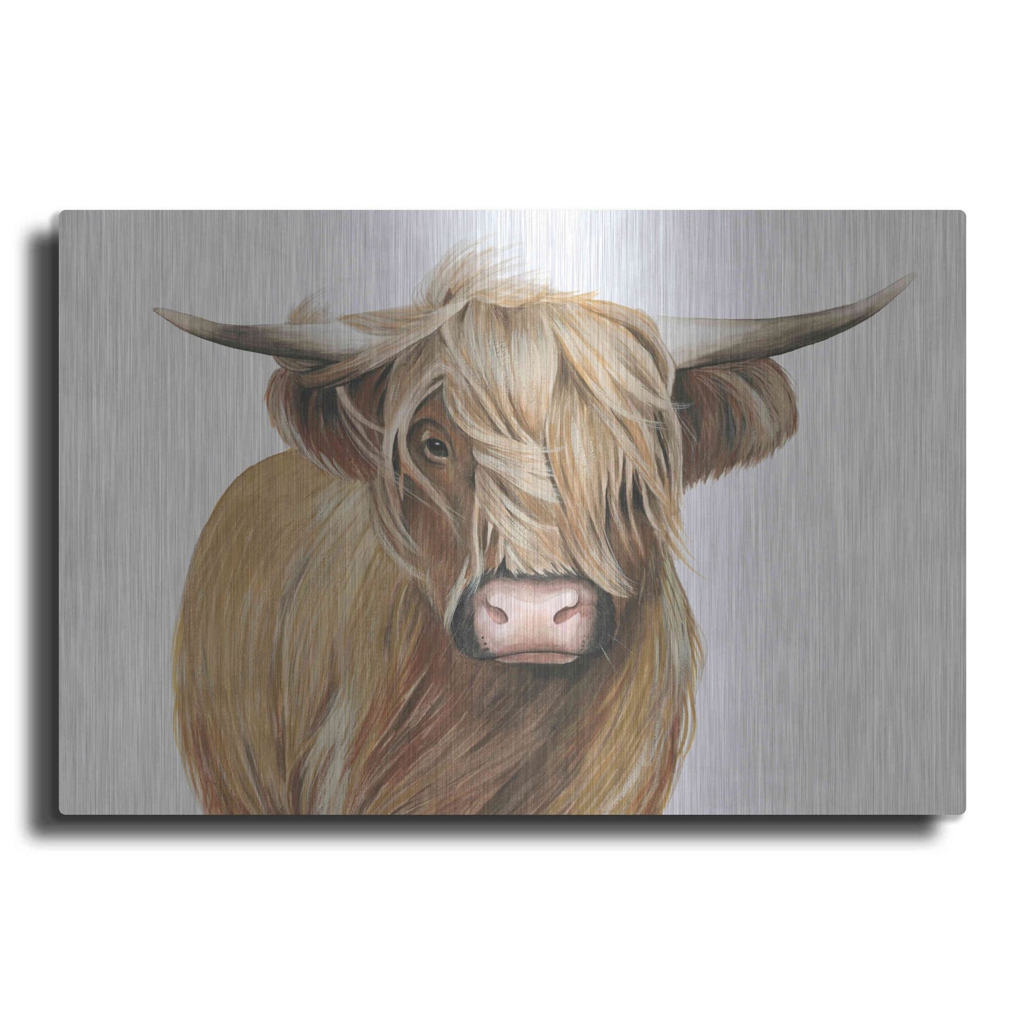Luxe Metal Art 'Highland Cattle I' by Grace Popp, Metal Wall Art