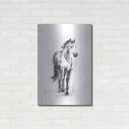 Luxe Metal Art 'Dynamic Equestrian II' by Ethan Harper, Metal Wall Art,24x36