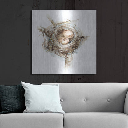 Luxe Metal Art 'Bird Nest Study I' by Ethan Harper, Metal Wall Art,36x36