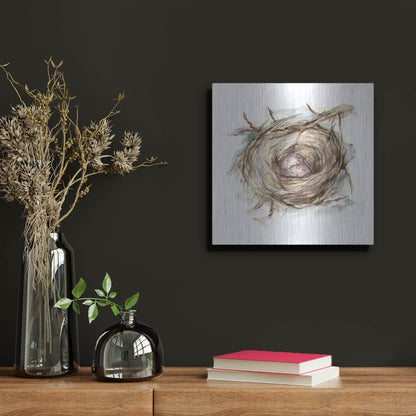 Luxe Metal Art 'Bird Nest Study IV' by Ethan Harper, Metal Wall Art,12x12