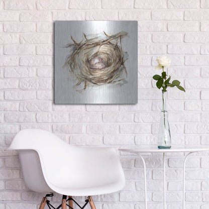 Luxe Metal Art 'Bird Nest Study IV' by Ethan Harper, Metal Wall Art,24x24