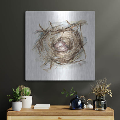 Luxe Metal Art 'Bird Nest Study IV' by Ethan Harper, Metal Wall Art,24x24