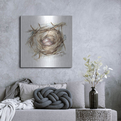 Luxe Metal Art 'Bird Nest Study IV' by Ethan Harper, Metal Wall Art,36x36