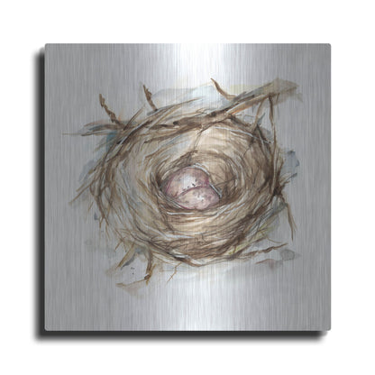 Luxe Metal Art 'Bird Nest Study IV' by Ethan Harper, Metal Wall Art