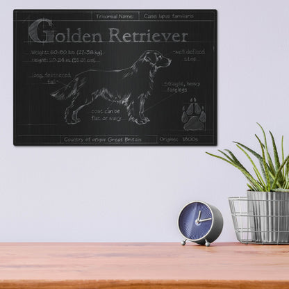 Luxe Metal Art 'Blueprint Golden Retriever' by Ethan Harper, Metal Wall Art,16x12