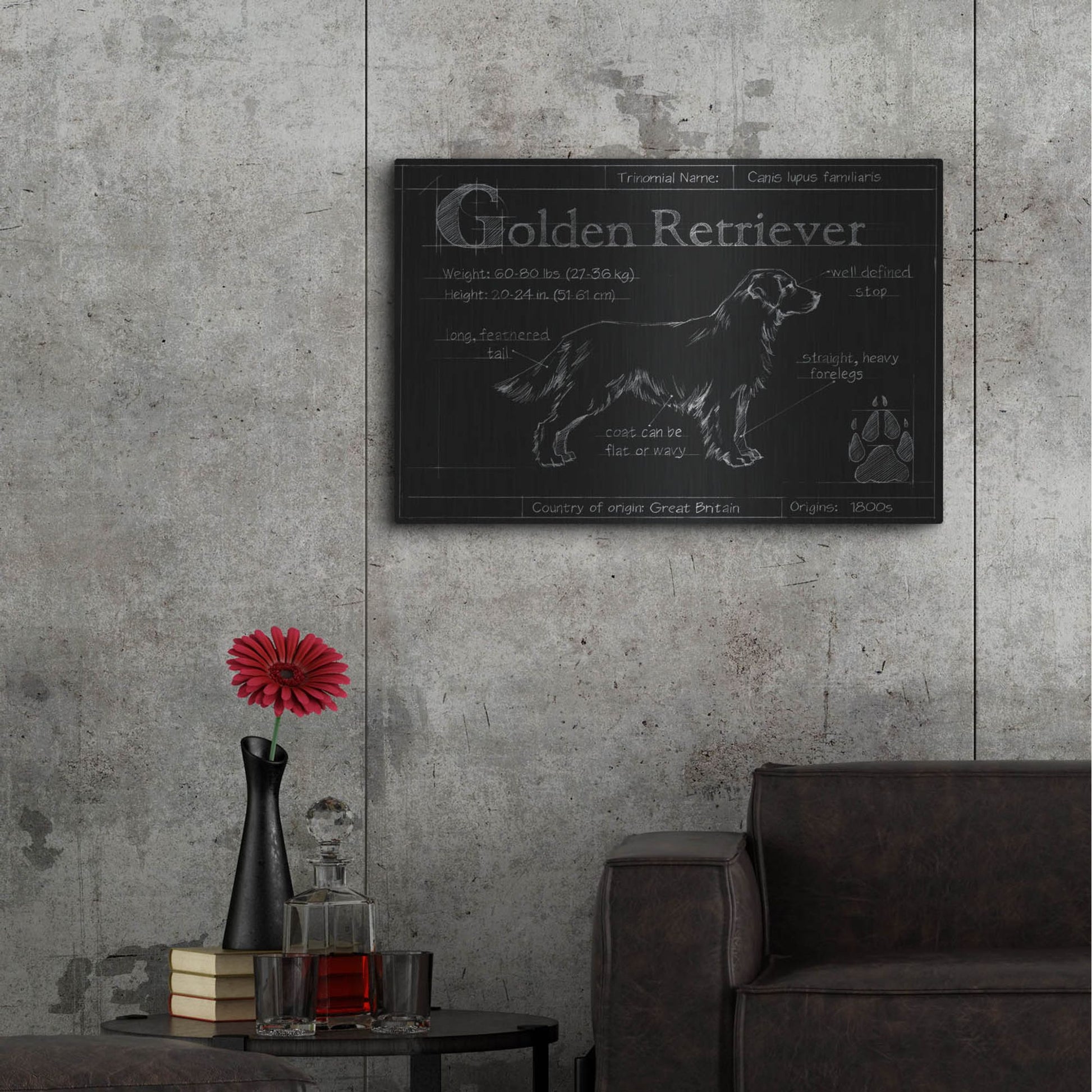 Luxe Metal Art 'Blueprint Golden Retriever' by Ethan Harper, Metal Wall Art,36x24