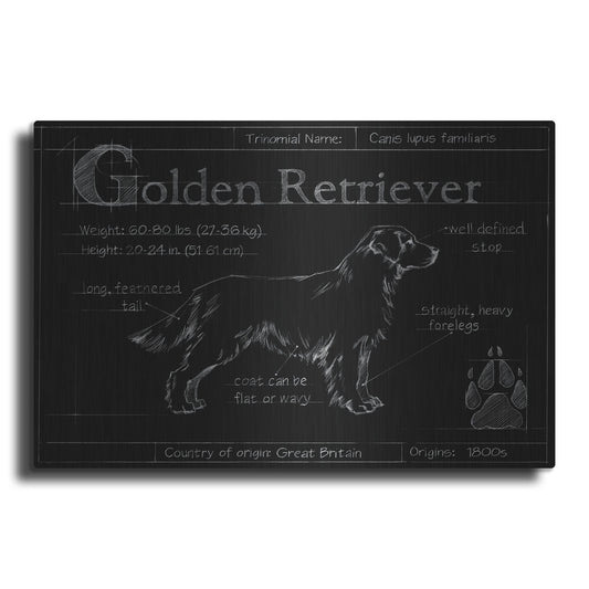 Luxe Metal Art 'Blueprint Golden Retriever' by Ethan Harper, Metal Wall Art