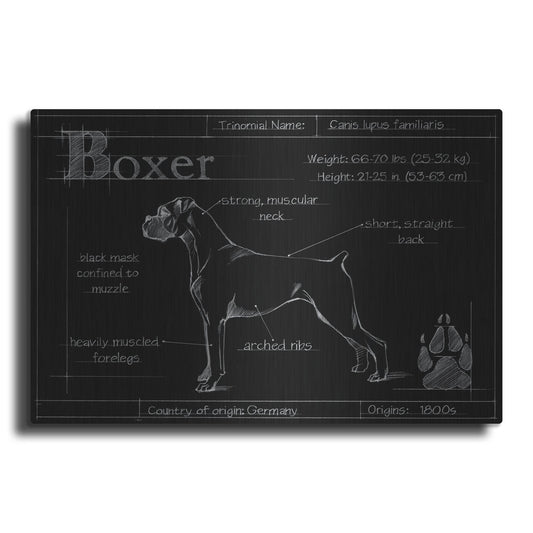 Luxe Metal Art 'Blueprint Boxer' by Ethan Harper, Metal Wall Art