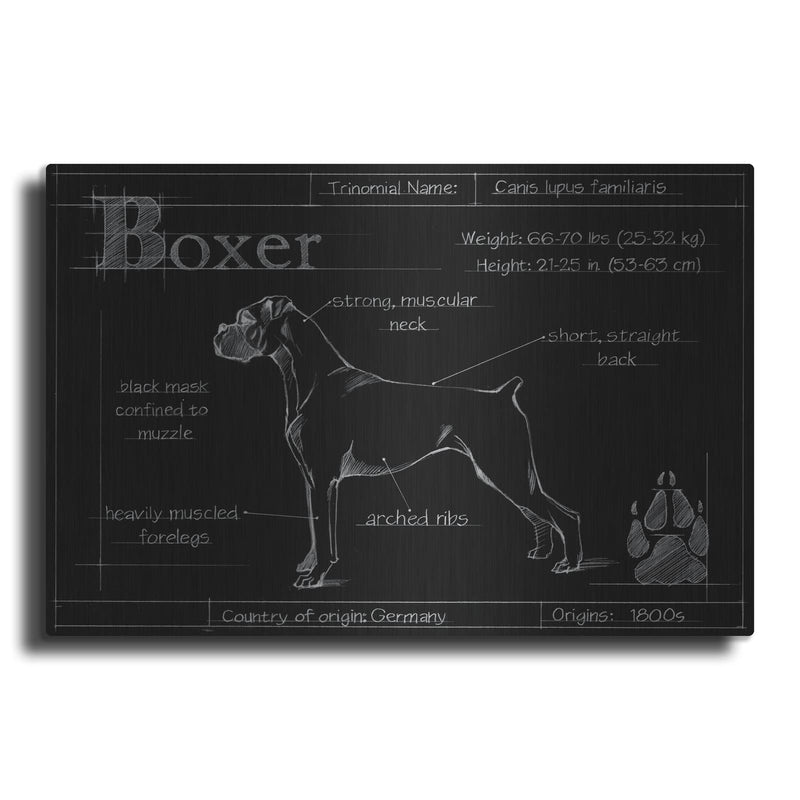 'Blueprint Boxer' by Ethan Harper – Metal Wall Art
