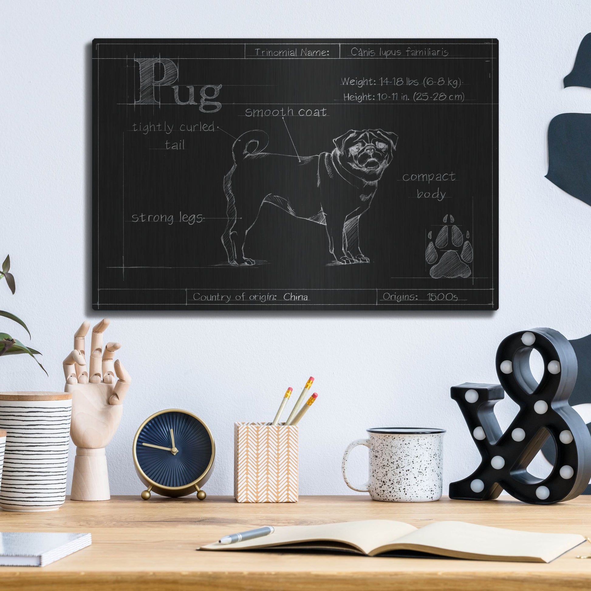 Luxe Metal Art 'Blueprint Pug' by Ethan Harper, Metal Wall Art,16x12