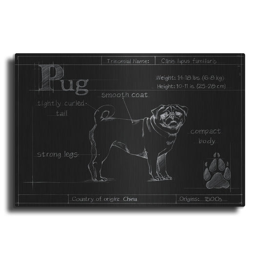 Luxe Metal Art 'Blueprint Pug' by Ethan Harper, Metal Wall Art