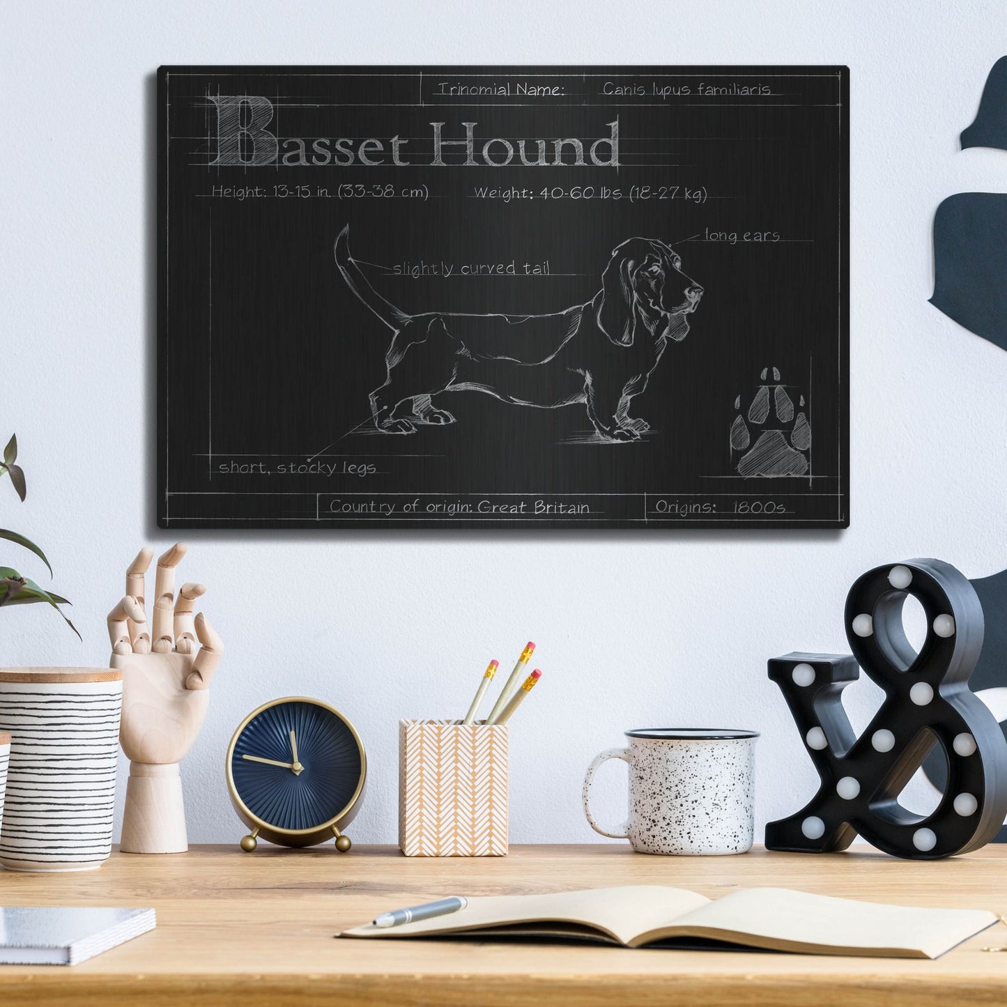 Luxe Metal Art 'Blueprint Bassett Hound' by Ethan Harper, Metal Wall Art,16x12