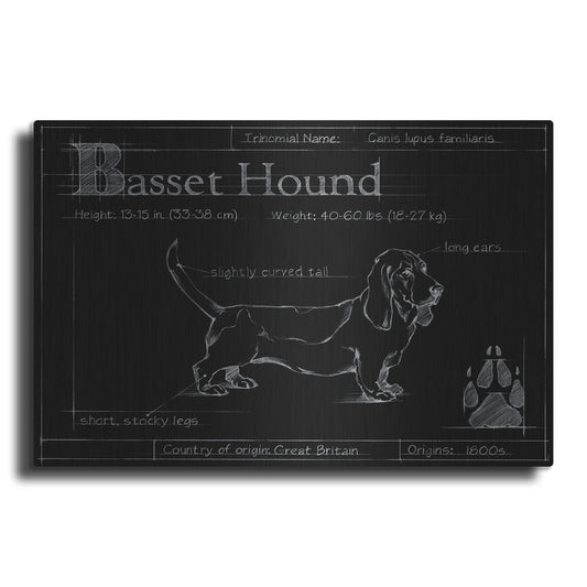 Luxe Metal Art 'Blueprint Bassett Hound' by Ethan Harper, Metal Wall Art