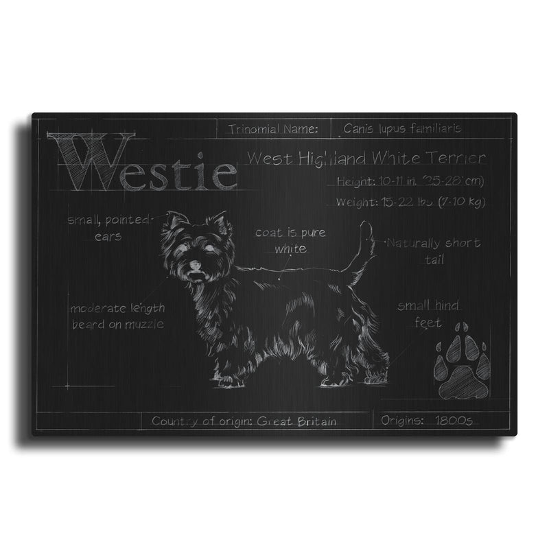 'Blueprint Westie II' by Ethan Harper – Metal Wall Art