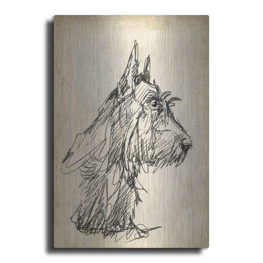 Luxe Metal Art 'Breed Studies I' by Ethan Harper, Metal Wall Art