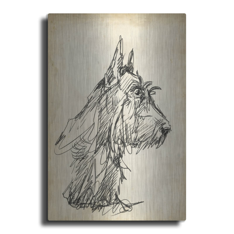 'Breed Studies I' by Ethan Harper – Metal Wall Art
