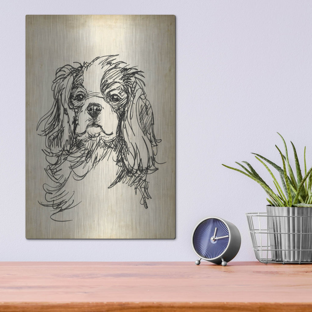 Luxe Metal Art 'Breed Studies II' by Ethan Harper, Metal Wall Art,12x16