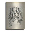 Luxe Metal Art 'Breed Studies II' by Ethan Harper, Metal Wall Art