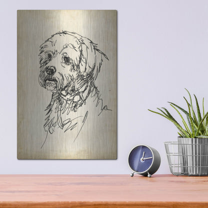 Luxe Metal Art 'Breed Studies III' by Ethan Harper, Metal Wall Art,12x16