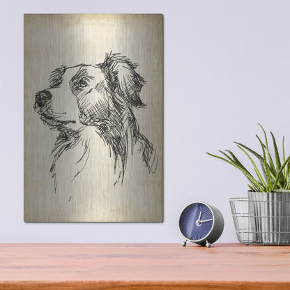 Luxe Metal Art 'Breed Studies IX' by Ethan Harper, Metal Wall Art,12x16