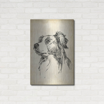 Luxe Metal Art 'Breed Studies IX' by Ethan Harper, Metal Wall Art,24x36