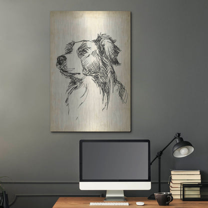 Luxe Metal Art 'Breed Studies IX' by Ethan Harper, Metal Wall Art,24x36