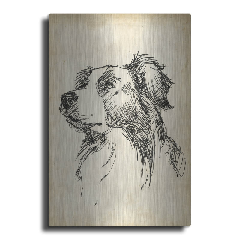 'Breed Studies IX' by Ethan Harper – Metal Wall Art