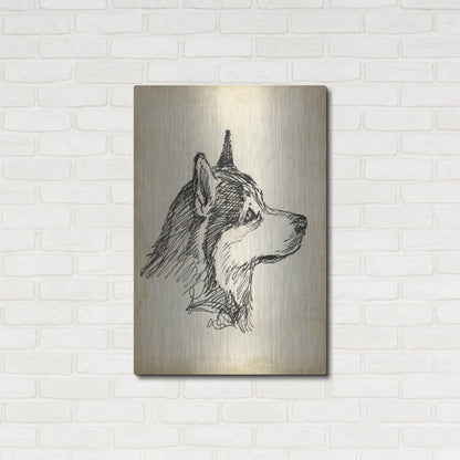 Luxe Metal Art 'Breed Studies X' by Ethan Harper, Metal Wall Art,24x36