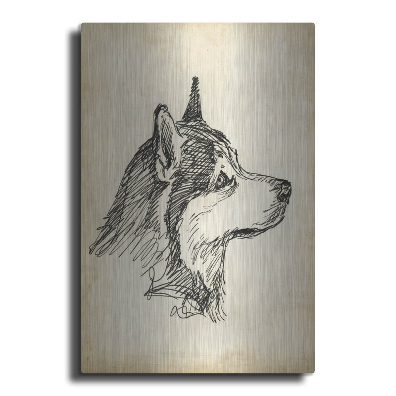 'Breed Studies X' by Ethan Harper – Metal Wall Art