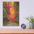 'Bromeliad' by Megan Gallagher – Metal Wall Art, 12x16 room view