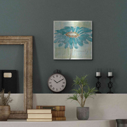 Luxe Metal Art 'Spa Daisies I' by Chris Paschke, Metal Wall Art,12x12