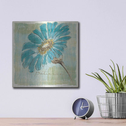 Luxe Metal Art 'Spa Daisies II' by Chris Paschke, Metal Wall Art,12x12