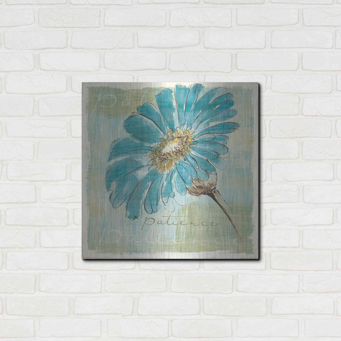 Luxe Metal Art 'Spa Daisies II' by Chris Paschke, Metal Wall Art,24x24