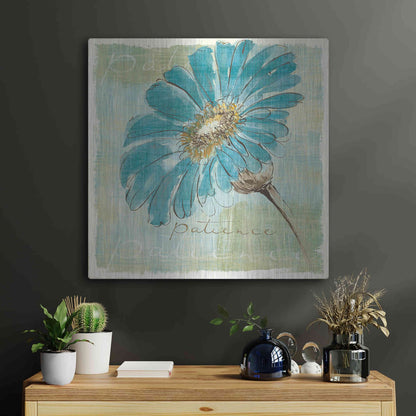 Luxe Metal Art 'Spa Daisies II' by Chris Paschke, Metal Wall Art,24x24