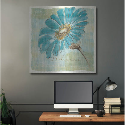 Luxe Metal Art 'Spa Daisies II' by Chris Paschke, Metal Wall Art,36x36