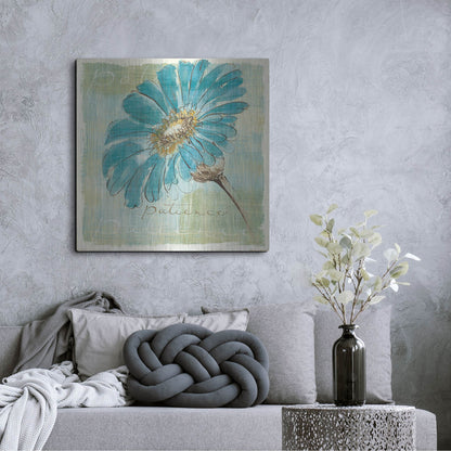 Luxe Metal Art 'Spa Daisies II' by Chris Paschke, Metal Wall Art,36x36