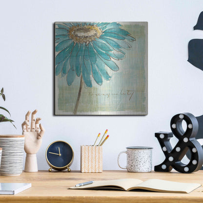 Luxe Metal Art 'Spa Daisies III' by Chris Paschke, Metal Wall Art,12x12